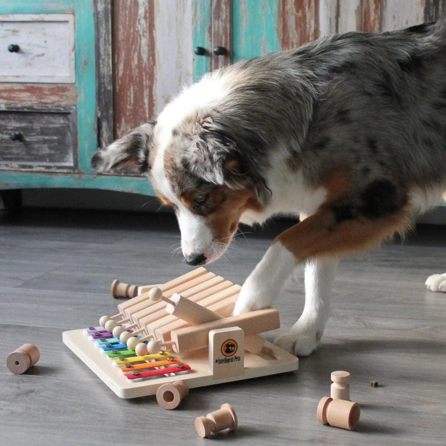 Interactive Smart Toys